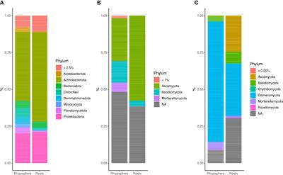 Impact of conservation tillage on wheat performance and its microbiome